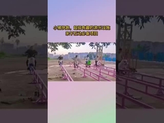 Area panoramica attrezzature di divertimento non alimentate, Internet Celebrity Little Pig Run Parco di divertimenti Childr