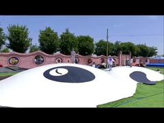 Trampolino Gonfiabile Panda Jumping Cloud per Parchi Giochi al Coperto