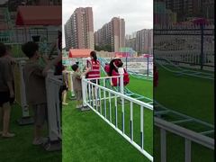 Auto di interazione genitore-figlio